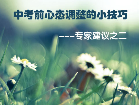 �п�����